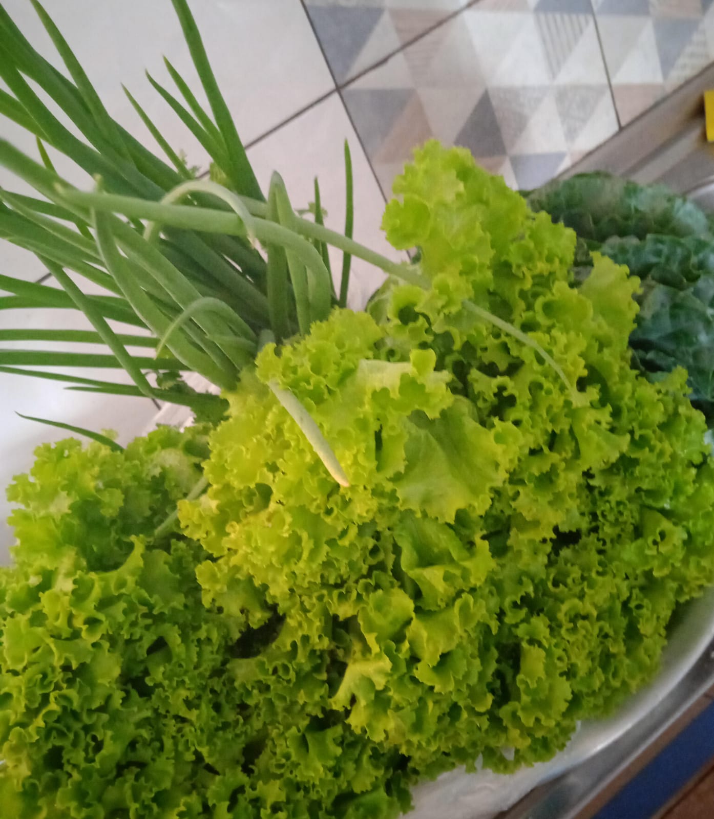 Prefeitura de Porto Franco reforça compromisso com alimentação escolar e moderniza gestão do pr...