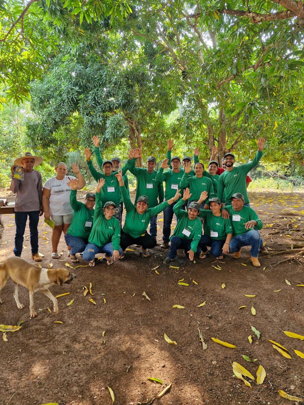 Prefeitura de Porto Franco promove curso de apicultura para produtores rurais